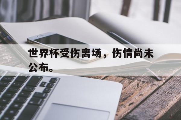爱游戏网页版入口-世界杯受伤离场，伤情尚未公布。后缀