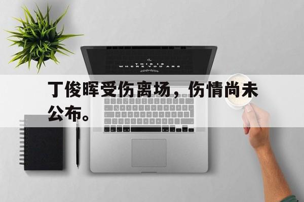 爱游戏网页版入口-丁俊晖受伤离场，伤情尚未公布。