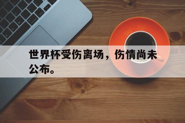 爱游戏网页版入口-世界杯受伤离场，伤情尚未公布。