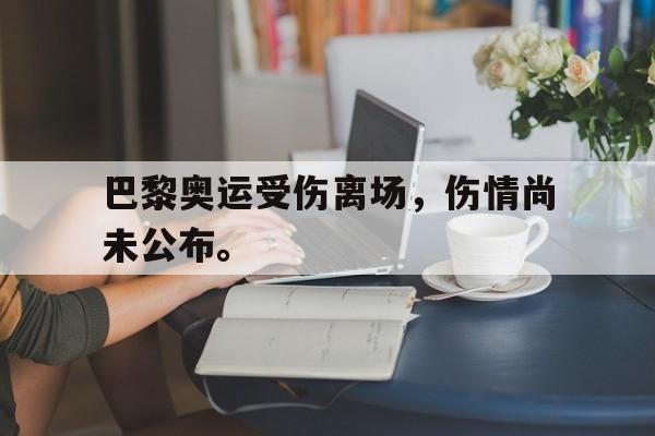 爱游戏网页版登录界面-巴黎奥运受伤离场，伤情尚未公布。