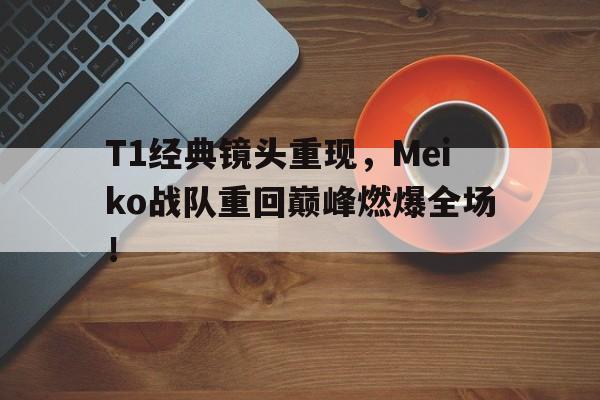 爱游戏网页版登录界面-T1经典镜头重现，Meiko战队重回巅峰燃爆全场！