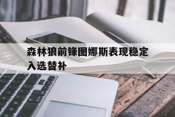 爱游戏网页版登录界面-森林狼前锋图娜斯表现稳定入选替补