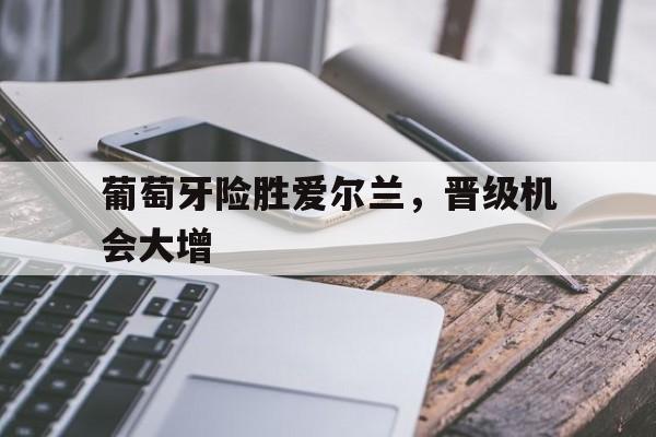 爱游戏网页版入口-葡萄牙险胜爱尔兰，晋级机会大增