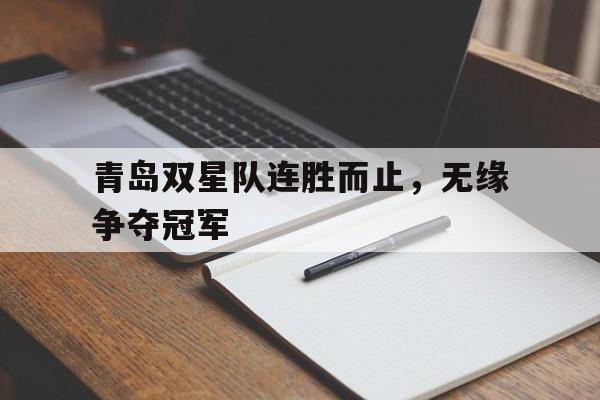 爱游戏网页版登录界面-青岛双星队连胜而止，无缘争夺冠军